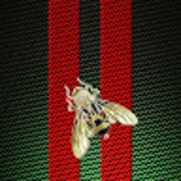 Profile Picture of Joseph Ramsay (@jdogbop34) on Poshmark