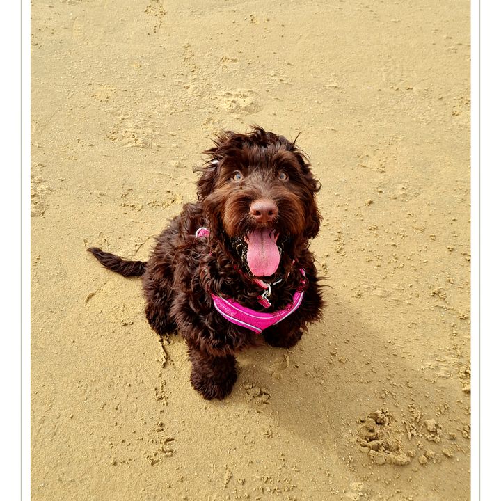 Profile Picture of Tracy Farrow331 (@tracyfarrow4) on Tiktok