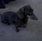 Profile Picture of Bobbie Ray (@bobbie.ray.39) on Facebook