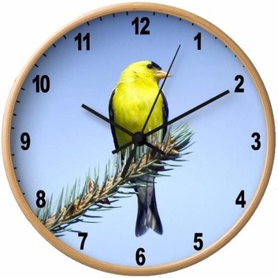 Profile Picture of Nancy A Carter (@@adkbirds) on Twitter