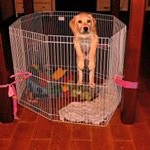 Profile Picture of Michael Davis (@chupahinoanita94_74) on Instagram