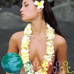 Profile Picture of Andrew Homer Gerose (@Andrew-Homer-Gerose) on Facebook