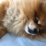 Profile Picture of Pamela Ashcraft Delaney (@pameladelaney31) on Instagram