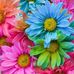 Profile Picture of Nabila Shahid (@nabila.shahid.718) on Facebook