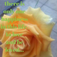 Profile Picture of Sando Thomas (@sandothomas) on Tiktok