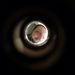 Profile Picture of Kevin Seemann (@seemannkaev) on Pinterest