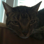 Profile Picture of J Bailey (@jbailey2882) on Youtube