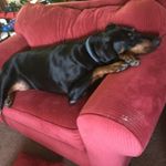 Kevin Wolfgang - Instagram Profile Picture of Kevin Wolfgang (@kcwolfgang) on Instagram