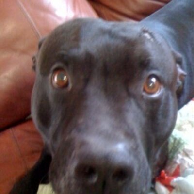 Profile Picture of Housh (@forthoush) on Twitter