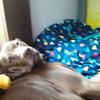 Profile Picture of Bryan Skinner (@@daccthebest) on Tiktok