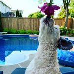 Profile Picture of Donna Hepp (@heppd) on Instagram