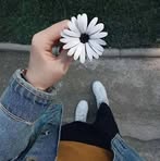 Profile Picture of Lina Sameh (@Lina-Sameh) on Facebook