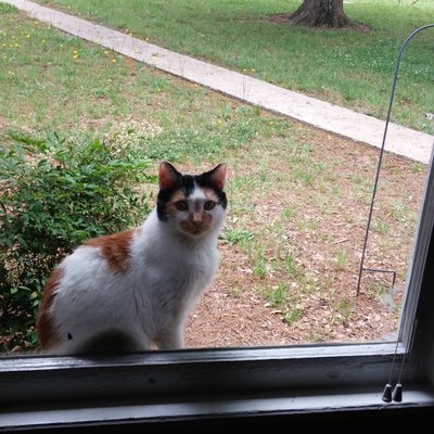 Profile Picture of Julia Farmer (@JuliaFa64200311) on Twitter