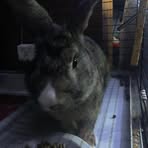 Brian Hartman - Facebook Profile Picture of Brian Hartman (@brian.heartman.1) on Facebook