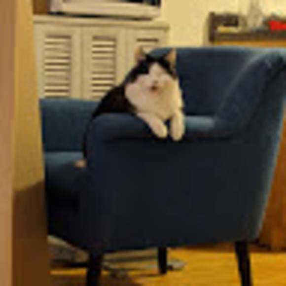 Profile Picture of Jason Latham (@jasonlatham47) on Poshmark