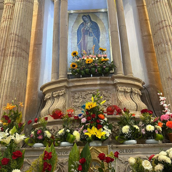 Profile Picture of Lorenzo Becerra (@lorenzo.becerra91) on Tiktok