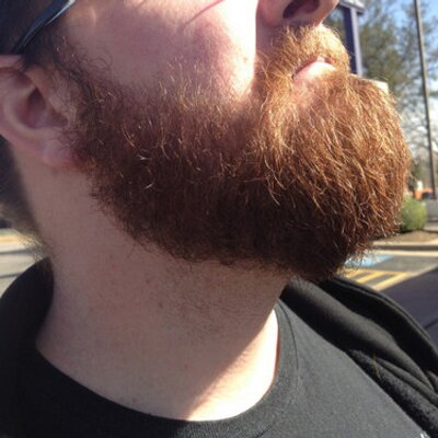 Profile Picture of Jack Pattillos Beard (@Jack_P_Beard) on Twitter