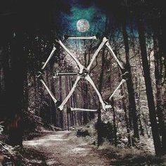 Profile Picture of Iman Amhil (@amina_amhil) on Twitter