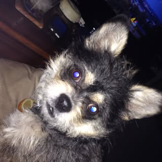 Profile Picture of Jagman (@chadlilley) on Instagram