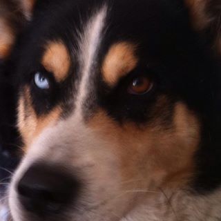 André Champion - Facebook Profile Picture of André Champion (@andre.champion.988) on Facebook