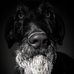 Profile Picture of Lance Piatt (@lancejeffreypiatt) on Facebook