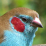 Profile Picture of Peter Wang 1 (@Peter Wang 1) on Flickr