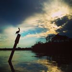 Profile Picture of Jeff Moffett (@jsmoffett) on Instagram