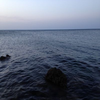 Profile Picture of Thomas Formisani (@thomas.formi) on Tiktok