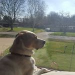 Profile Picture of Mark Makowski (@makowski542) on Instagram