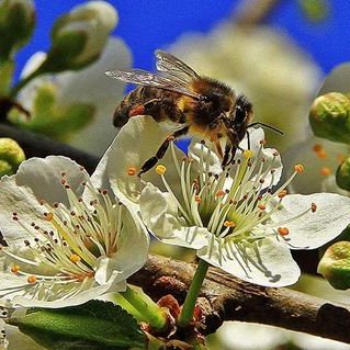 Profile Picture of Isabel Muñoz Olmos (@IsabelMuozOlmo1) on Twitter