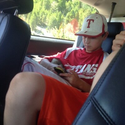 david murach - Twitter Profile Picture of david murach (@david11murach) on Twitter