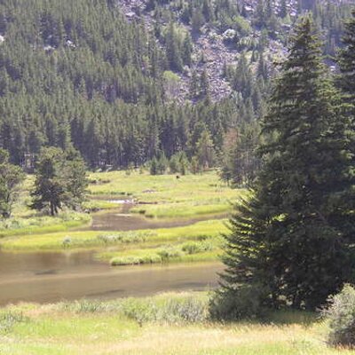 Profile Picture of Jim Malmstrom (@JimMalmstrom) on Twitter