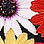 Profile Picture of Tracie Coston (@kevinsgirl2011) on Flickr