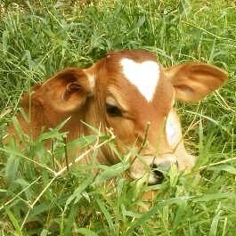 Odalys Rodríguez - Twitter Profile Picture of Odalys Rodríguez (@Odalys_Rod257) on Twitter