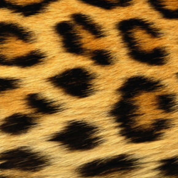 Profile Picture of Challie Speaks (@challiespeaks) on Poshmark