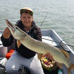 Profile Picture of Kevin Fehlberg (@kevinfehlberg) on Instagram