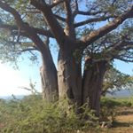 Profile Picture of Dustin Polasek (@polasekdustin) on Instagram