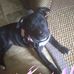 Profile Picture of Doris Ellis (@doris.ellis.3720190) on Facebook