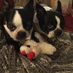 Profile Picture of Anita Cohen Rich (@anitacohenrich) on Instagram