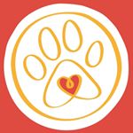 Profile Picture of Rafaela Adam Barros (@dog.ral) on Instagram