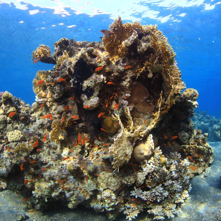 Profile Picture of Andrei Grigorean (@an90ei) on Tiktok