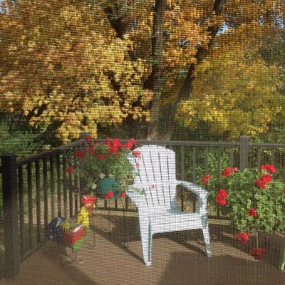 Profile Picture of Mary Jo Fischer (@MaryJoFischer3) on Twitter