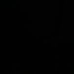 Profile Picture of Cody Phan (@cody._phan) on Instagram