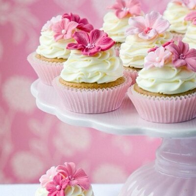 Profile Picture of Catherine Yoon (@yoon_catherine) on Twitter