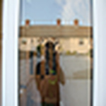 Profile Picture of Aidan Sullivan (@aidan sullivan) on Flickr