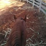 Profile Picture of Ariel Canto Navarrete (@cantonavarrete) on Instagram