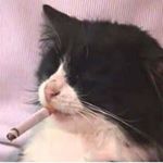 Profile Picture of . (@_mlkvy_) on Instagram