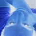 Profile Picture of Patrick Mckernan (@patrick.mckernan.5) on Facebook