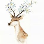 Profile Picture of dawn (@dawnwalston) on Instagram