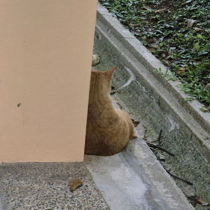 🤪 - Tiktok Profile Picture of 🤪 (@peegudan) on Tiktok